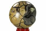 Polished Septarian Geode Sphere - Madagascar #134429-1